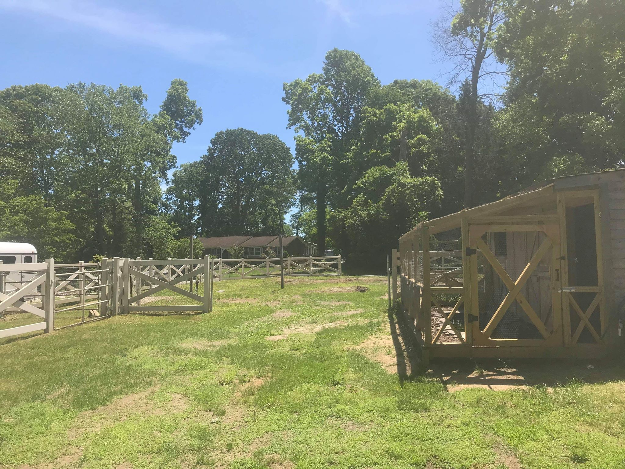 Long Island Equine & Horse Properties Training/Lessons/Boarding