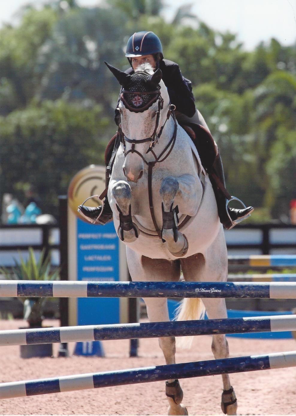 Horses for Sale Long Island Equine & Horse Properties